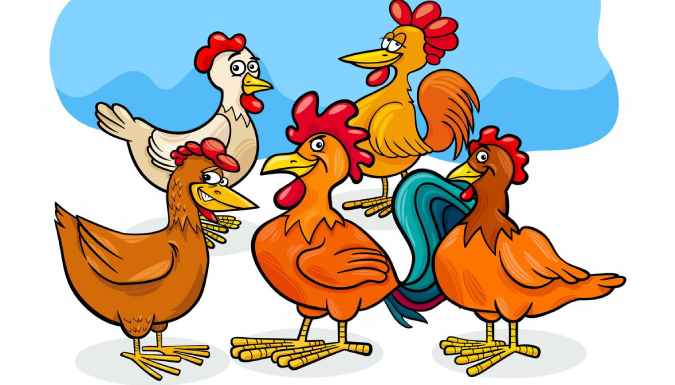La Top 5 delle Migliori Slot Gallina