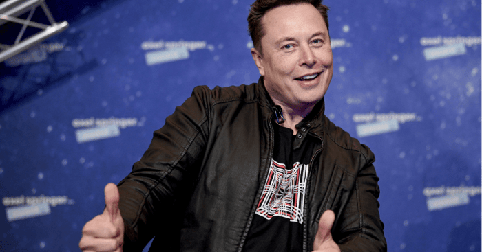 Zuckerberg vs Musk MMA Fight - Quoten & Gewinnchancen
