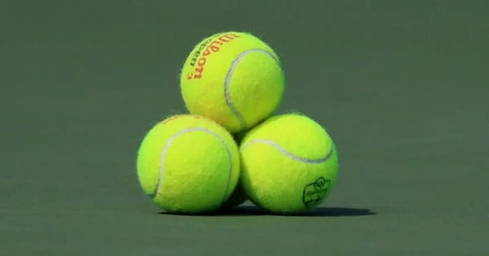 Tennis Player Stefan Milicevic Banned 24 Years Over Fixing