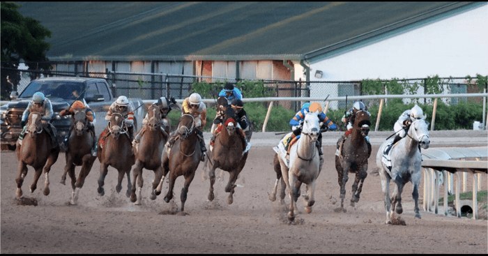 HISA Charges Handicapper Marshall Gramm With Fraud Over Data Breach
