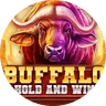 Buffalo Hold & Win